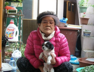 기사이미지