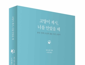 기사이미지