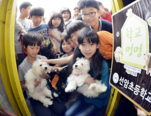 기사이미지
