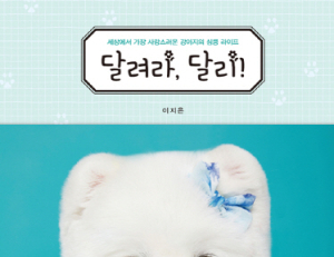 기사이미지