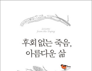 기사이미지