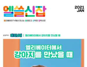 기사이미지