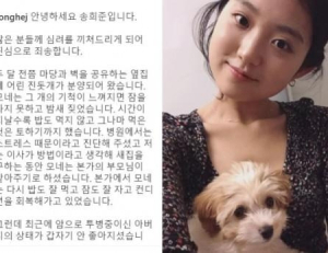 기사이미지