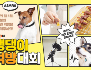 기사이미지