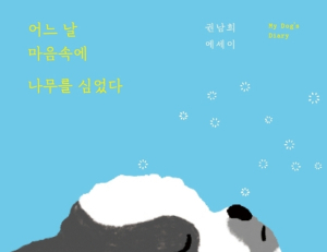 기사이미지