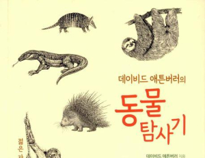기사이미지