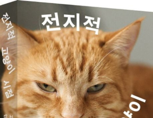 기사이미지