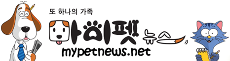 회사로고
